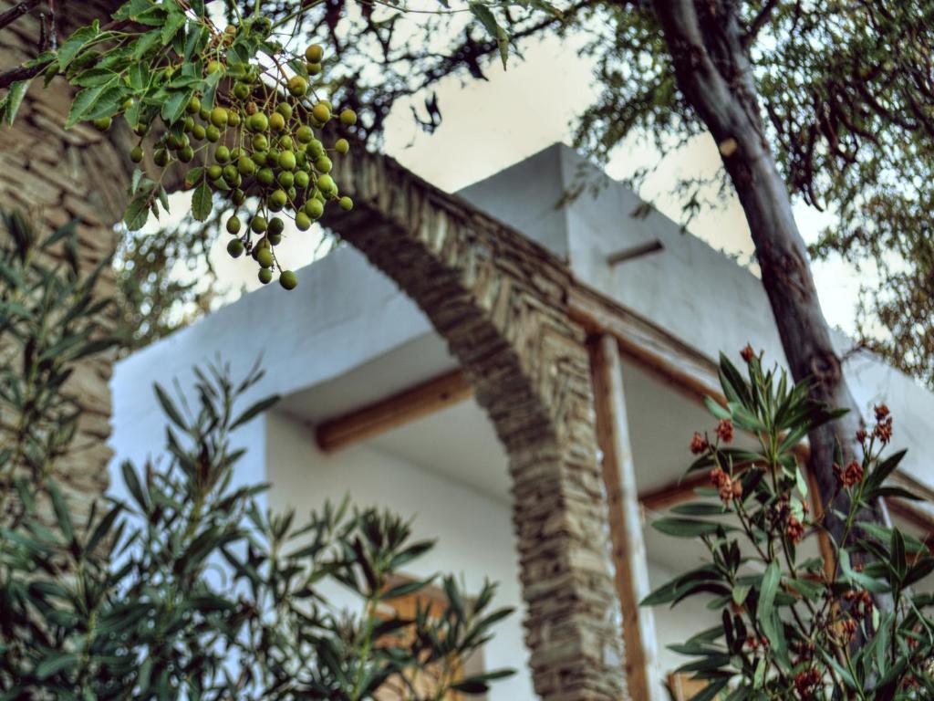 Irene'S Villas Andros Island Luaran gambar